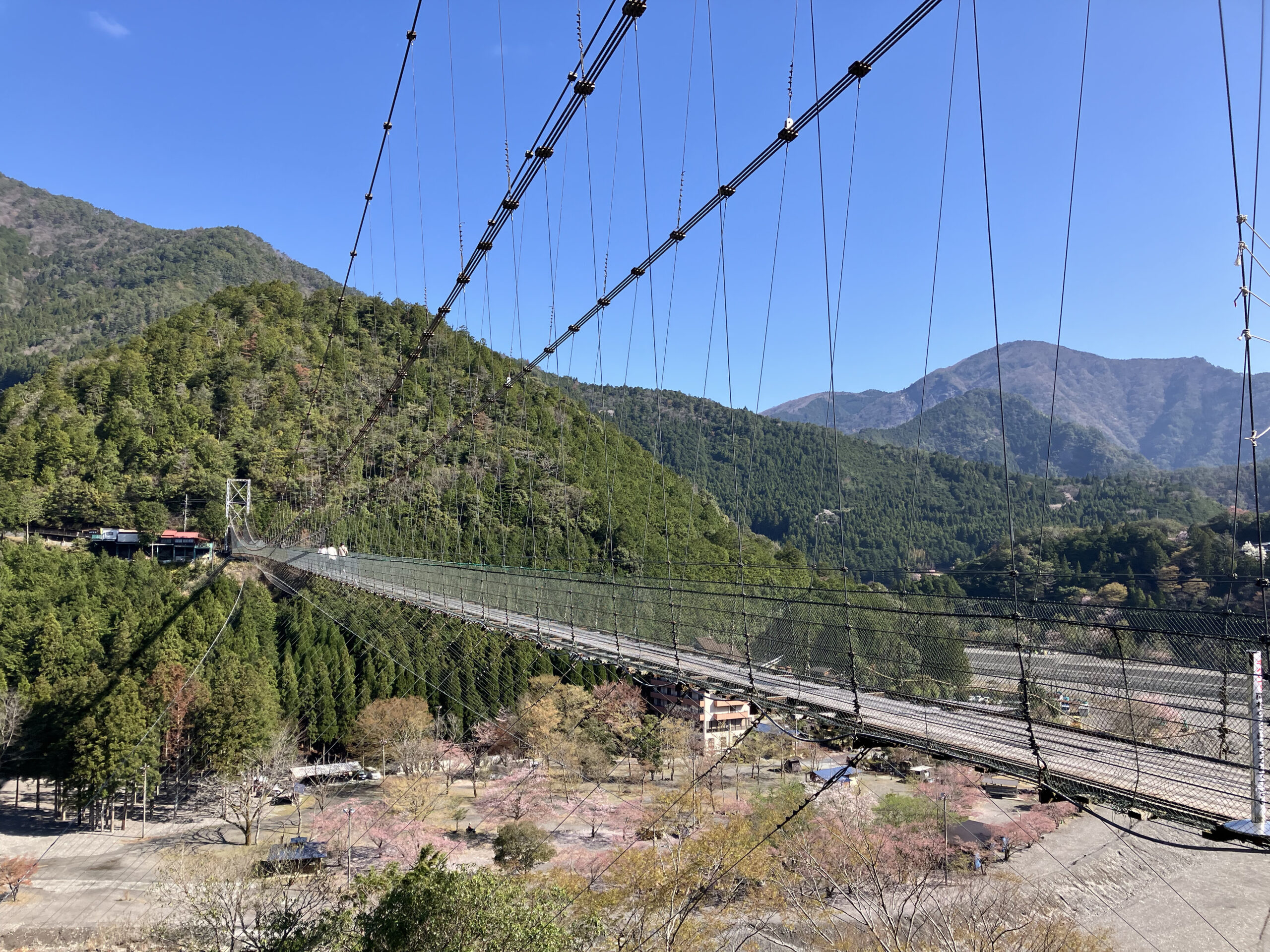 谷瀬の吊り橋